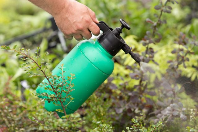 Herbicide Basics: How These Chemicals Work to Control Weeds in Your Yard