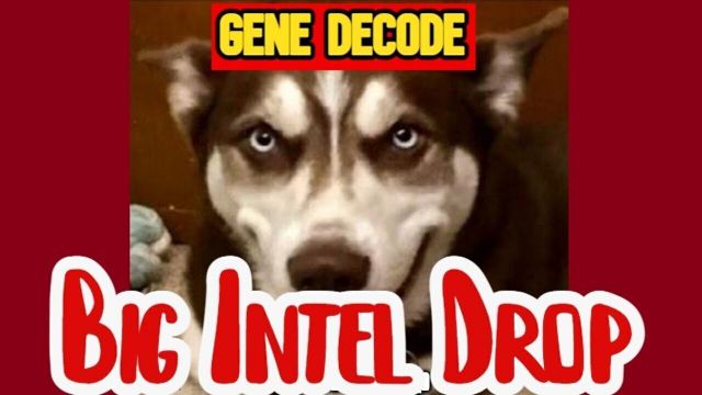 Gene Decode Big Intel 9.24.26 - An Emergency Reset Coming