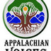 Appalachian Voices partners with Black By God to examine air quality in West Virginia’s African American communities